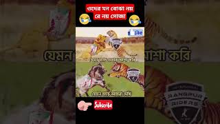 Barishal bpl #cricket #bpl #bpl2025 #shorts