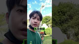 來到恐龍帝國!!!! #恐龍偶像 #遊樂園