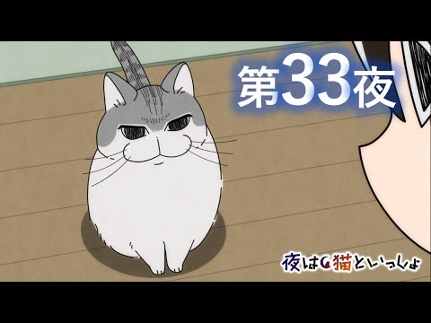 アニメ『夜は猫といっしょ』第33夜「寝てたネコ」