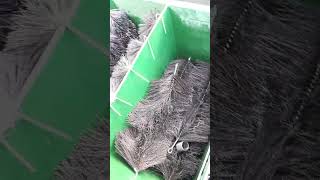 Newish pond cockney koi pond filter for large koi pond