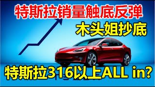 【特斯拉三大重磅利好来袭】木头姐牛市加仓，交付数据出炉不那么糟糕，是否意味着最坏的情况已过，已见大底?#特斯拉股票 #美股 #股哥说美股 #tesla #马斯克 #AI #关税战 #特朗普 #对等关税