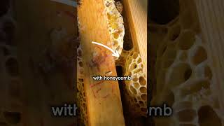 You've never seen honeycomb like this before🐝🍯