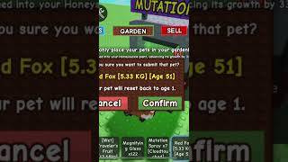 Broo#growagarden#growagarden#roblox#memes#funny#jendel#funnyvideo#funnymeme