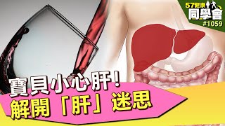 寶貝小心肝！解開「肝」迷思【57健康同學會】第1059集 2014年