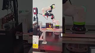 FANUC collaborative robot with 3D vision, automated handling demonstration
