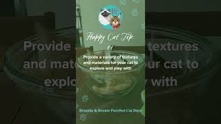 #Shorts – Happy Indoor Cat Tip No.11 (25 Tips: Give Your Indoor Cat her Best Life) #catlovers #cats