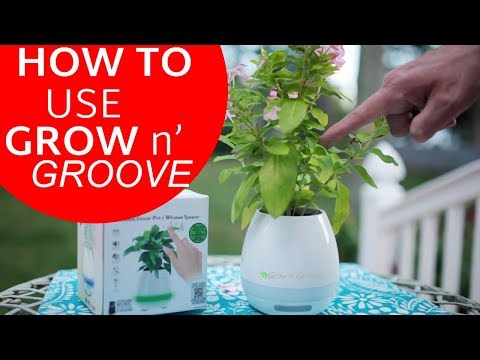 How To Use Your Grow n' Groove!