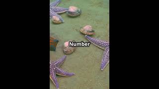 Top 3 Animals with Amazing Regeneration #regeneration #top #3amazing #shortsviral #youtubevideo