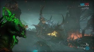Worm fight