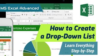 How to Create Drop Down List in MS Excel(Urdu/Hindi)