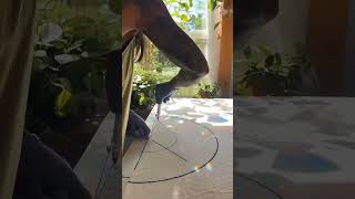 semicircular measurements to create the desired shape