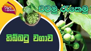 Nugasewana | Wawamu Rakemu | 202209-21 |Rupavahini