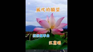 #風吹的願望 [江蕙唱〕鋼琴演奏 台語歌曲 Piano-Cover