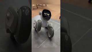 cheerful loona robot #petrobot #loona #loonarobot #loonareaction #airobot #petbot