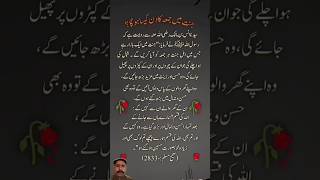 jannat mein jumma ka din kaisa hoga #hijab #love #live #imamqasim 🌴🌴🌴🌴🥰🌹🥰🌹🥰😍🌹