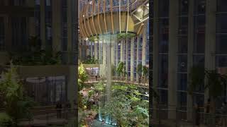 假装在新加坡 🇸🇬 Singapore 重庆光环购物中心 ChongQing 网红 City Walk#网红 #重庆 #citytour #singapore