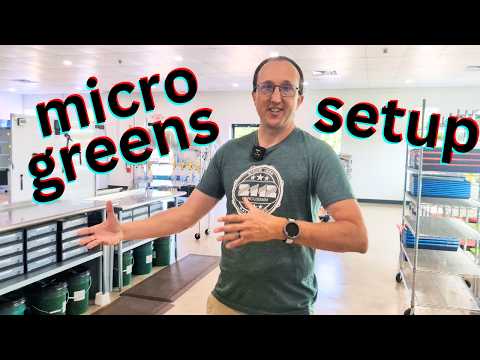 6 Figure Microgreens Business Setup + Workflow