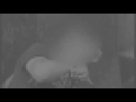 FSK IV [REDACTED]