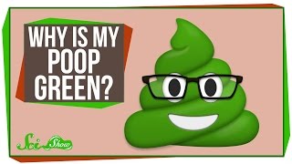 Why Is My Poop Green?