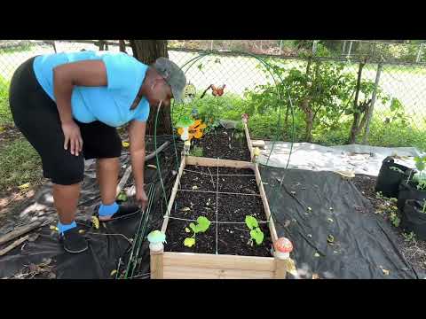 GARDENING JOURNEY | What is growing in my Garden | JULY ZONE 7A