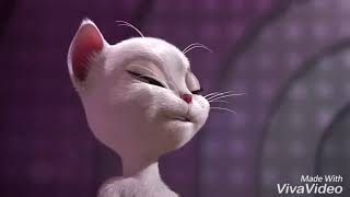 Tom in thadai vidulai