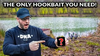 Carp Fishing - The BEST Hook-bait Money Can BUY!
