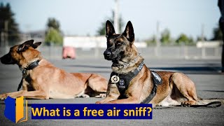 Ep. #50: What Is a Free Air Sniff?