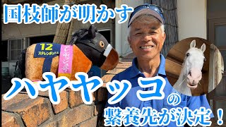 【国枝調教師が明かす】ハヤヤッコの繋養先が決定！