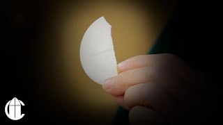 Catholic Mass Today: 7/13/25 | Fifteenth Sunday in Ordinary Time