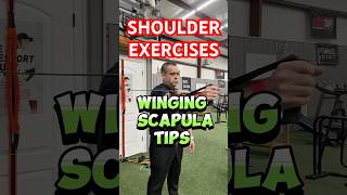 ✅ Winged Scapula Tips‼️ #shoulderblade #occupationaltherapist
