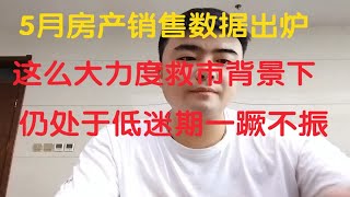 5月房产销售数据出炉，大力度救市下仍低迷一蹶不振，都不买房了吗。