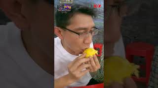 愛的呼喚