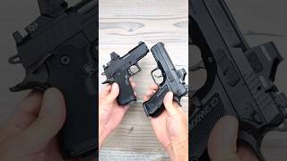 Prodigy Compact VS Shadow 2 Carry "Pure Excellence"