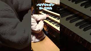 パイプオルガン弾いてみた♪小学一年6才♪定番曲を耳コピしてみた♪