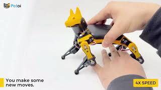 Master Robotics with Petoi Bittle X Robot Dog and Bittle X with a Robotics Arm and Feedback Servos