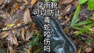 穿雨靴可以防止毒蛇咬伤吗？什么情况下会咬穿雨靴？#毒蛇咬伤