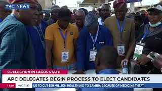 LG Election In Lagos State: APC Delegates Begin Process To Elect Candidates