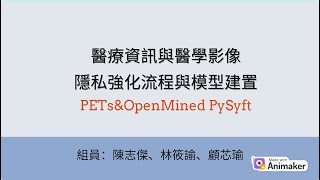 醫療資訊與醫學影像隱私強化流程與模型建置