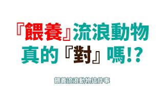 餵食流浪動物是災難！？　3分鐘「餵食」迷思大破解！