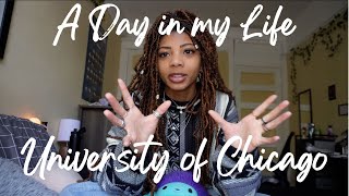 A Day In My Life at the University of Chicago