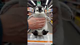#Shorts #CutePets #FunnyPetVideos #ViralPets #AdorableAnimals #PetShorts #SubscribeNow Like &comment