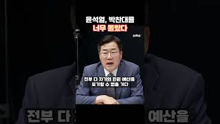 Yoon Seok-yeol, I didn't know much about Park Chan-dae!