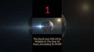 About Earth Facts #Shorts #Youtubeshorts #Earth #Facts #Sort #Aboutearth #Universe