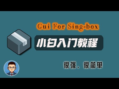 比clash强大，只是你还不会用！Sing-Box最强客户端GUI界面入门教程！详细讲解每个功能项，并演示！（入门篇）