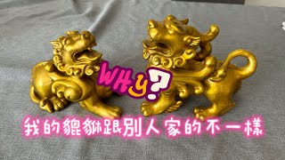 為什麼我的貔貅跟別人家的不太一樣？😂