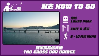 將軍澳跨灣大橋  Tseung Kwan O Cross Bay Bridge | 完整路線教學  HOW TO GO