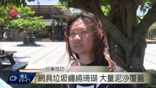 東海岸珊瑚礁生態調查 淨海行動清垃圾   2016-06-24 TITV 原視新聞