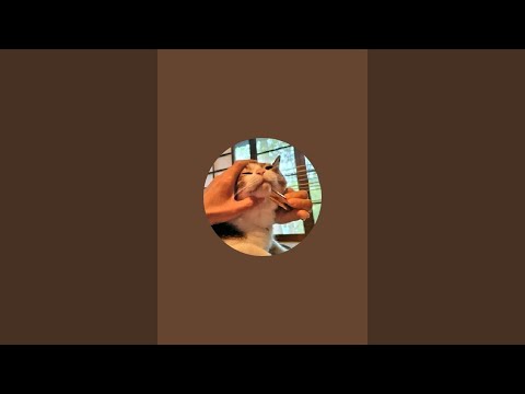 天皇は二人
