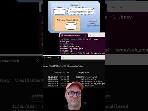 Seeing or pulling Linux WSL artifacts into scope of Windows programs