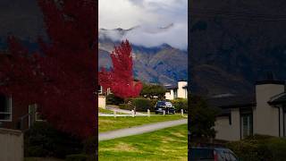 Peace Has a Name — New Zealand #shorts #NewZealandQuotes #NaturePeace #NatureInspires #ShortsQuotes